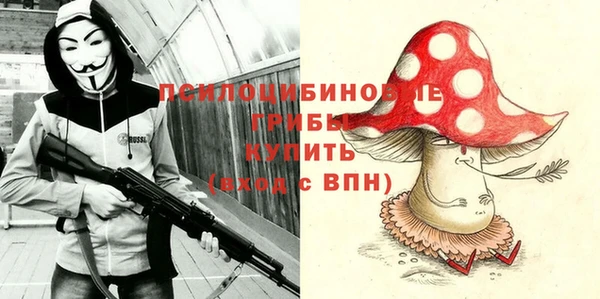гашик Алзамай
