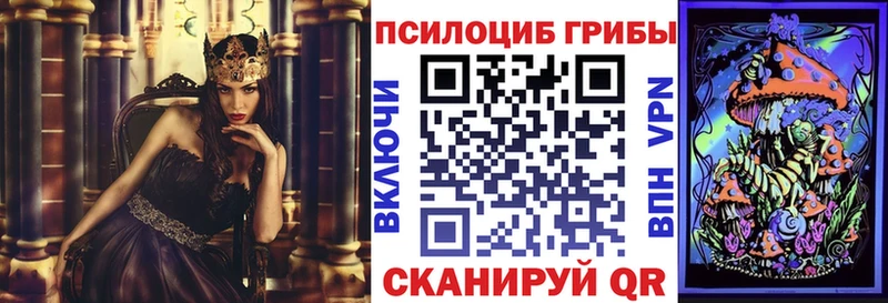 Псилоцибиновые грибы Psilocybe  МЕГА tor  Ардатов 